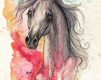 grey arabian horse, equine art, equestrian, original pen and watercolor painting