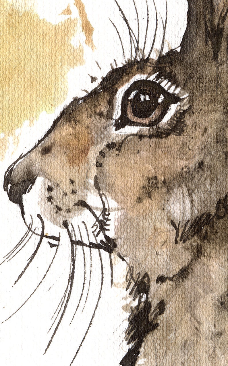 Hare, rabbit, bunny, original ink painting on paper image 2