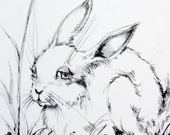 Easter bunny, rabbit, hare, spring, daffodil, original pen drawing