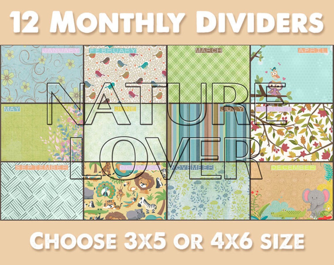 Monthly dividers with dated index cards etsy