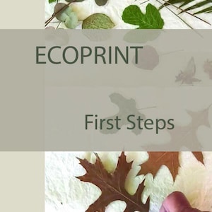 Ecoprint Tutorial - Botanical printing