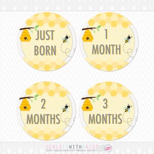 Honey Bee 4&quot; Milestone Stickers/ Iron Ons