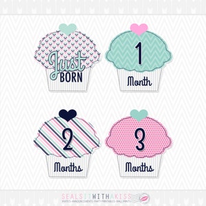 Cupcake Monthly Milestone Stickers/ Iron Ons