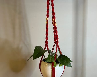 Macrame Plant Hanger