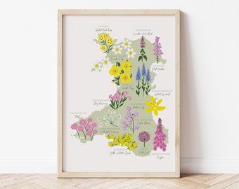 Puede incluir: Un contorno verde de Gales con diferentes flores y sus nombres en cada región. Las flores están ilustradas en un estilo colorido y caprichoso. Las flores incluyen: Amapola silvestre,  Rattle amarillo,  Rosa de mar,  Prímula de ojo de pájaro,  Sedum común,  Lirio de verano,  Ajo silvestre,  Zanahoria silvestre,  Corona de novia,  Robin de los bosques,  Brezo de campana,  Veronica en espiga,  Dedalera,  Hierba amarilla marchita.