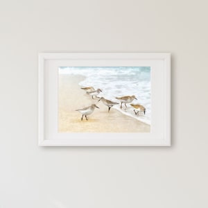 Sandpiper Watercolor Art Print image 1