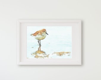 Bird Art, Sandpiper print, coastal birds, coastal art print, bird print, watercolor, painting, art print, North Carolina, beach art
