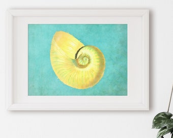 Nautilus shell, beach wall art, shell art print, beach decor, sea shells, seaside treasures, beach combing, cool stuff, decor, gifts for her