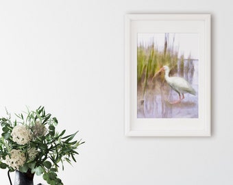 Ibis Marsh Bird Watercolor Art Print