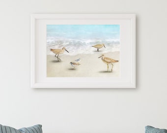 Willets, Plovers North Carolina Shore Birds Watercolor Art Prints