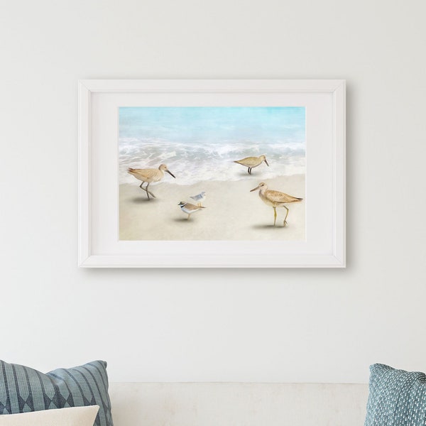 Willets, Plovers North Carolina Shore Birds Watercolor Art Prints