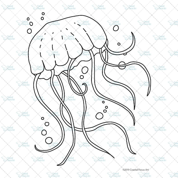 52 Jellyfish Coloring Pages For Adults , Free HD Download 52 Jellyfish Coloring Pages For Adults , Free HD Download
