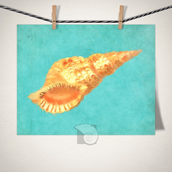 Sea Shell Painting 8x10 Coastal Wall Art Tropical Wall Art Beachy Wall Decor Shelf Decor Home Decor Sea Shells Coastal Gifts