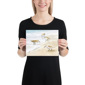 Sanderlings Watercolor Painting Art Prints image 7