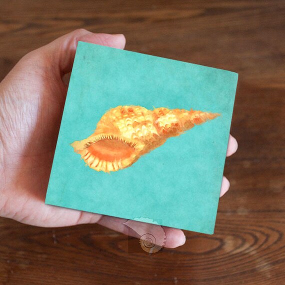 Sea Shell Painting 4x4 Coastal Wall Art Tropical Wall Art Beachy Wall Decor Shelf Decor Home Decor Sea Shells Coastal Gifts