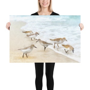 Sandpiper Watercolor Art Print image 5