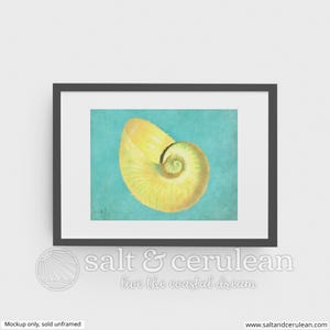 Nautilus Shell Art Print: Beach Cottage Decor