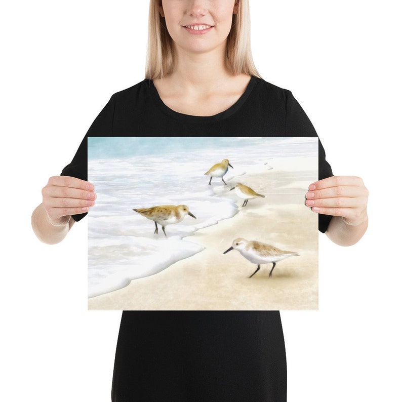 Sanderlings Watercolor Painting Art Prints image 3