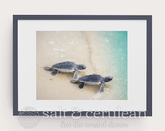 May include: Two small sea turtles, one black and green, the other gray and green, crawl on a sandy beach towards the turquoise ocean water. The image is framed in a dark gray frame with the text "salt & cerulean live the coastal dream" at the bottom.