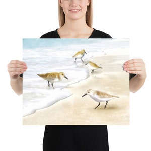 Sanderlings Watercolor Painting Art Prints image 2