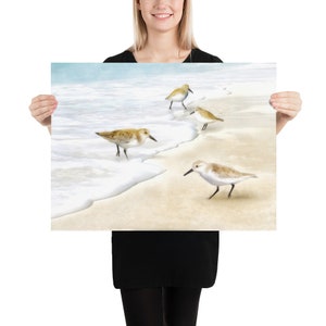 Sanderlings Watercolor Painting Art Prints image 4