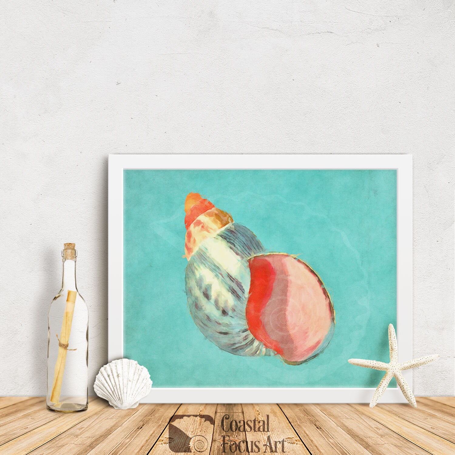 Sea shell wall art shell art print beach decor sea shells Etsy