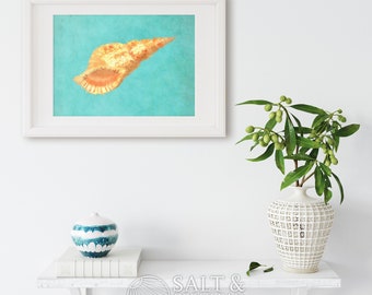 Sea shell wall art, matted prints, beach decor, sea shells, seaside treasures, beach combing, cool stuff, decor, gifts for her