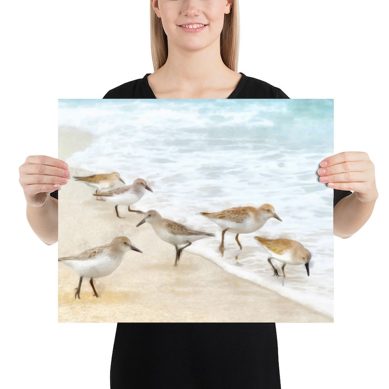 Sandpiper Watercolor Art Print image 2