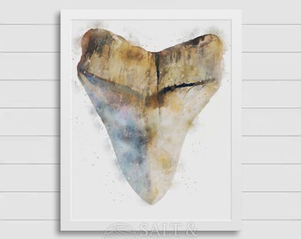 Shark Tooth Watercolor Painting Minimalism Art Print