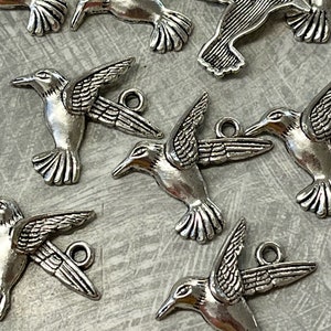 May include: A collection of silver-toned hummingbird charms with intricate details. The charms are perfect for jewelry making, scrapbooking, or other craft projects.