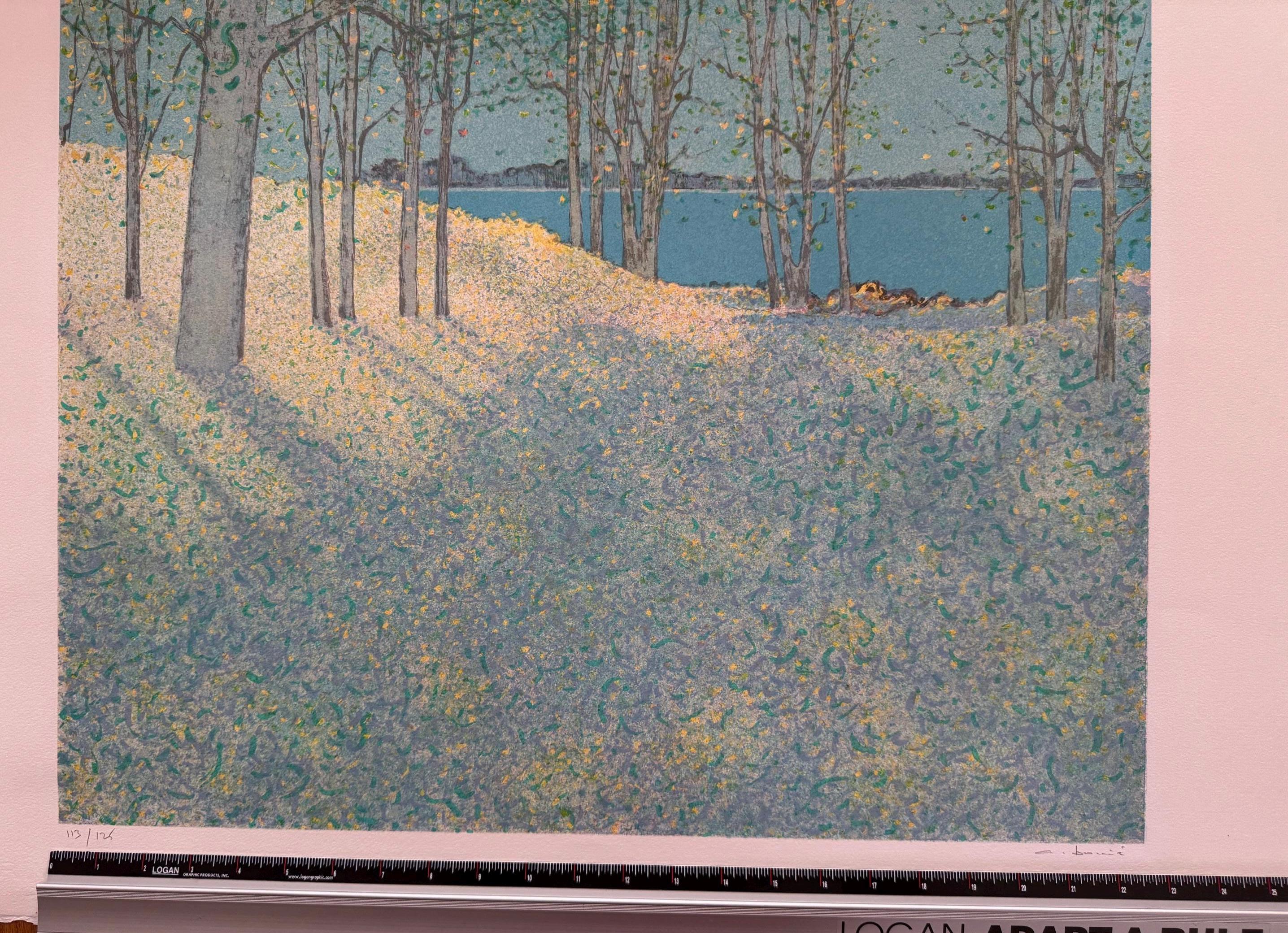 Andre Bourrie Lithograph Landscape Signed, Limited Edition - Etsy