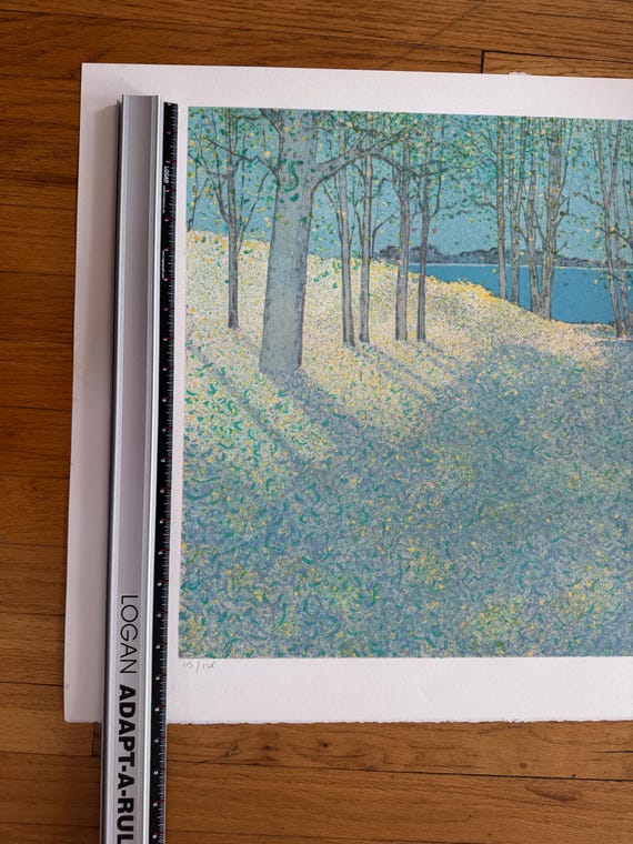 Andre Bourrie Lithograph Landscape Signed, Limited Edition - Etsy