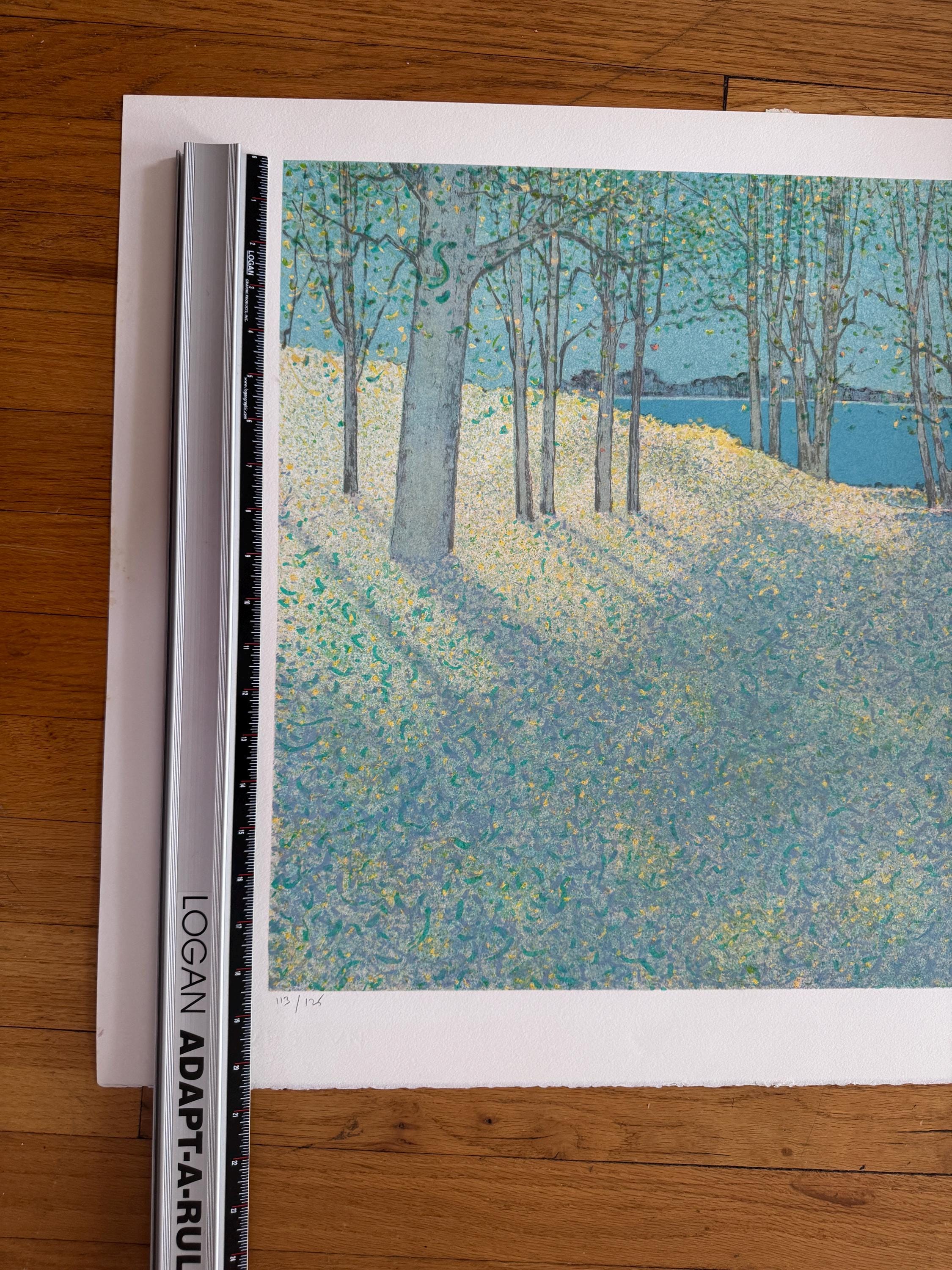 Andre Bourrie Lithograph Landscape Signed, Limited Edition - Etsy