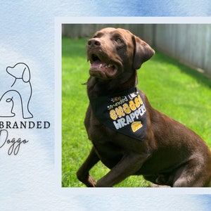 May include: A brown Labrador Retriever dog wearing a black bandana with the text "You sounded like a cheese wrapper!" in yellow letters. The dog is sitting on green grass.