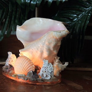 Fabulous Vintage Shell TV Lamp Kitschy Conch Shell Nightlight Seashell Coral TV Light