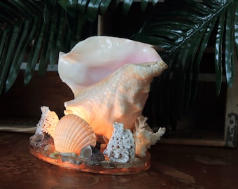 Puede incluir: Una lámpara de conchas marinas con una gran concha de caracol como base y conchas más pequeñas y detalles de coral. La lámpara está encendida y emite un brillo cálido.