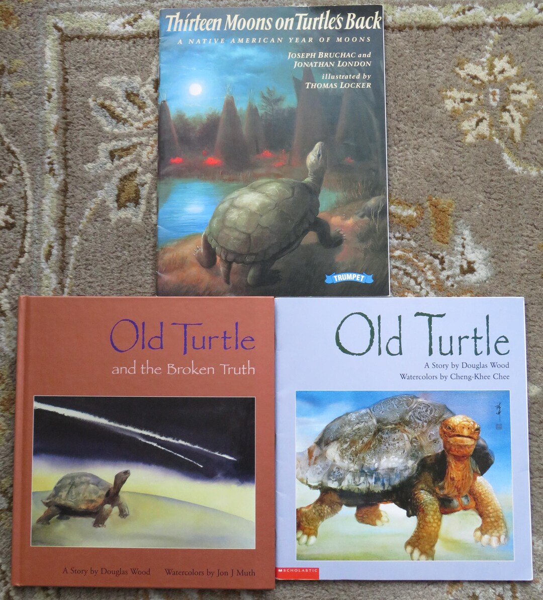 3 Books Old Turtle, Old Turtle and the Broken Truth,