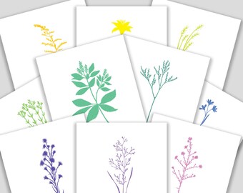Card Set with all ten (10) Flowers from "Vineyard Magic"