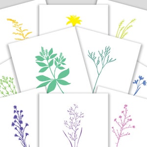 Card Set with all ten (10) Flowers from &quot;Vineyard Magic&quot;