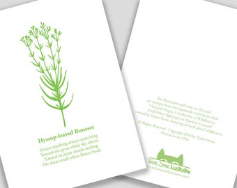 Hyssop-leaved Boneset Flower Card with Poem