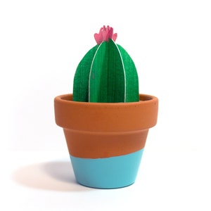 Potted Paper Cactus with Blooming Flower (Parodia Cactus)