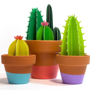 Potted Cacti Bunch, Little Cactus Garden image 4