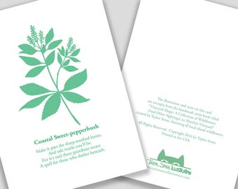 Coastal Sweet-pepperbush Flower Card with Poem