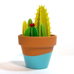 Mazzo di cactus in vaso, Piccolo giardino di cactus
