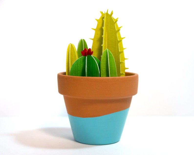 Potted Cacti Bunch, Little Cactus Garden image 1