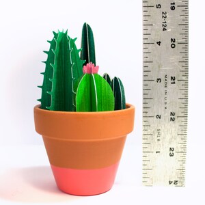 Potted Cacti Bunch, Little Cactus Garden image 3