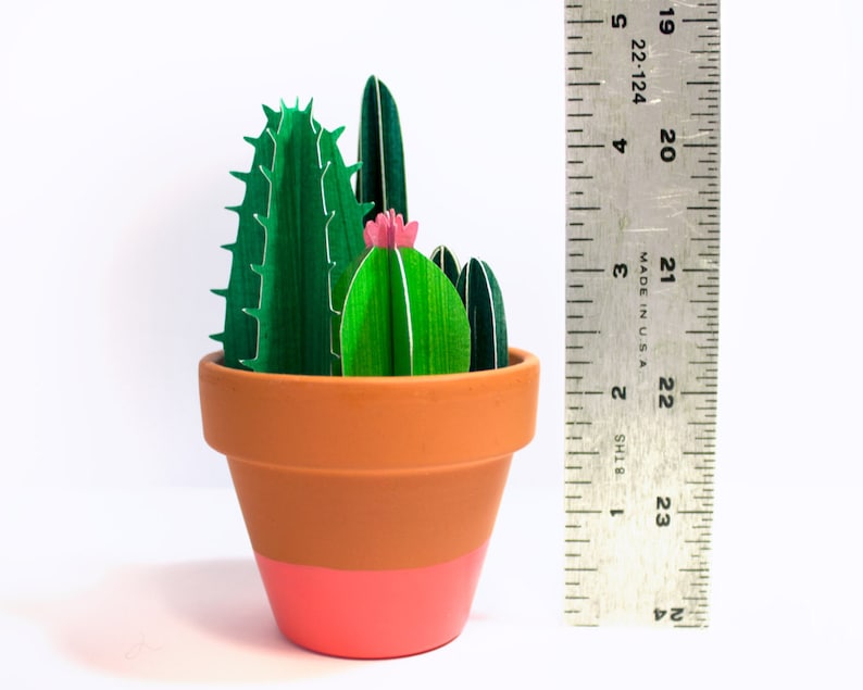 Potted Cacti Bunch, Little Cactus Garden image 3