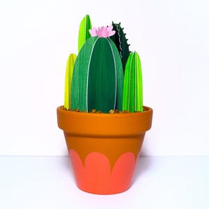 Mazzo di cactus in vaso, giardino di cactus più grande