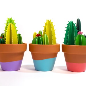 Potted Cacti Bunch, Little Cactus Garden image 2