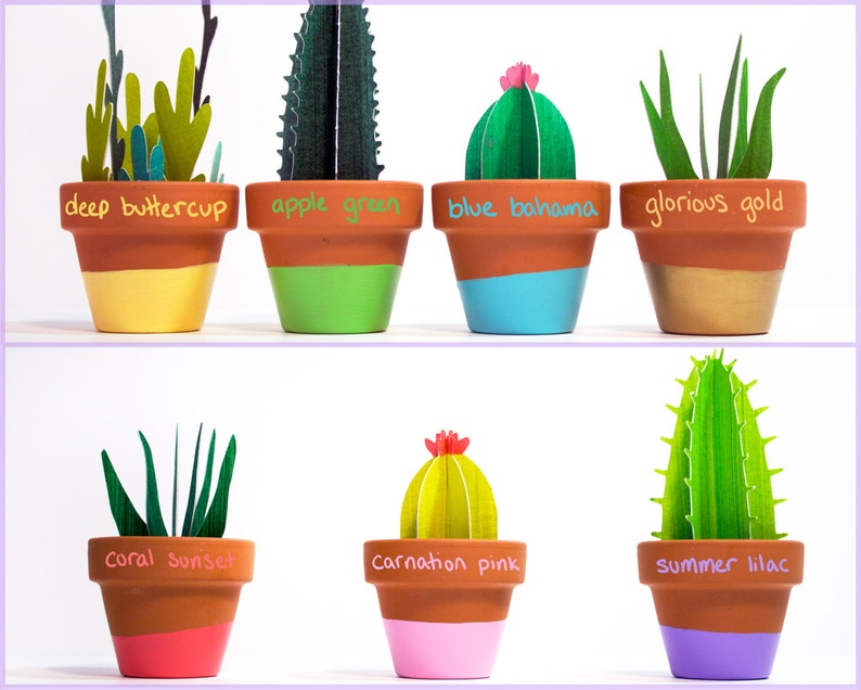 Potted Cacti Bunch, Little Cactus Garden image 5